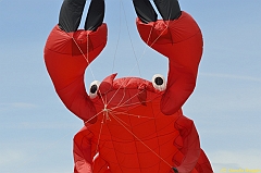 Venice kite festival_0216